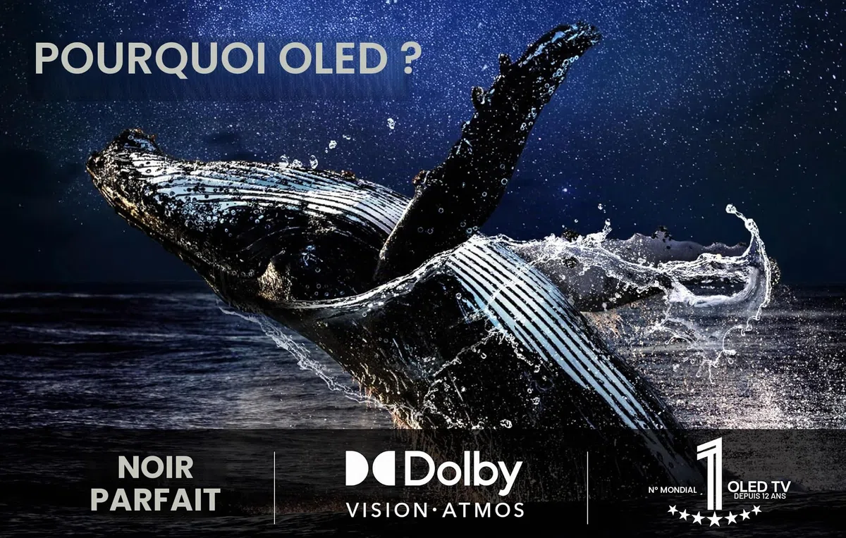 LG OLED evo C5 4K TV, 48", 144 Hz, Dolby Vision IQ, webOS 25, HDMI 2.1, processeur IA, Dolby Atmos